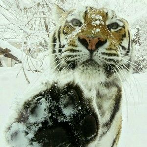 Meet your Posher, Sherri